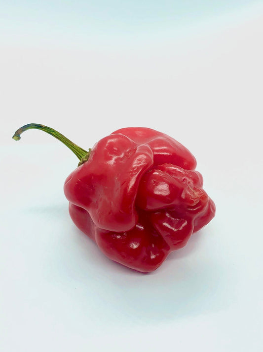 Scotch Bonnet Seeds Pepper