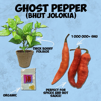 Tombstone Ghost Pepper Seeds