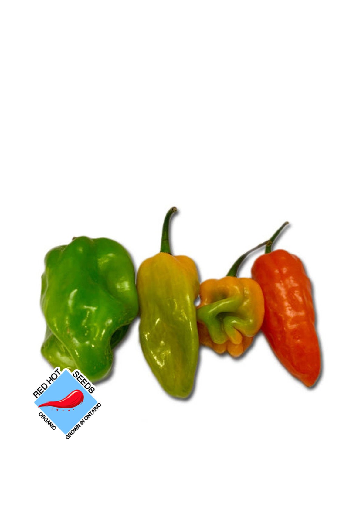 Scotch Bonnet Seeds Pepper