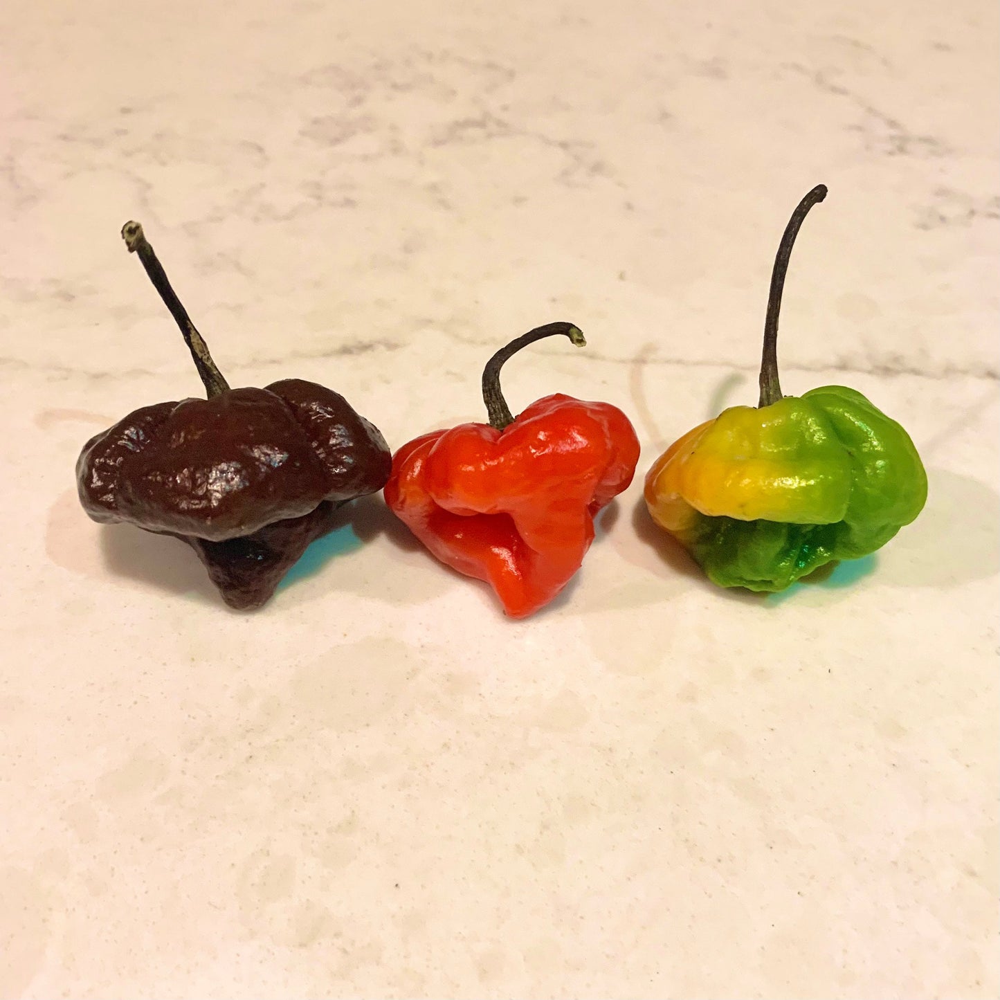 Scotch Bonnet Seeds Pepper