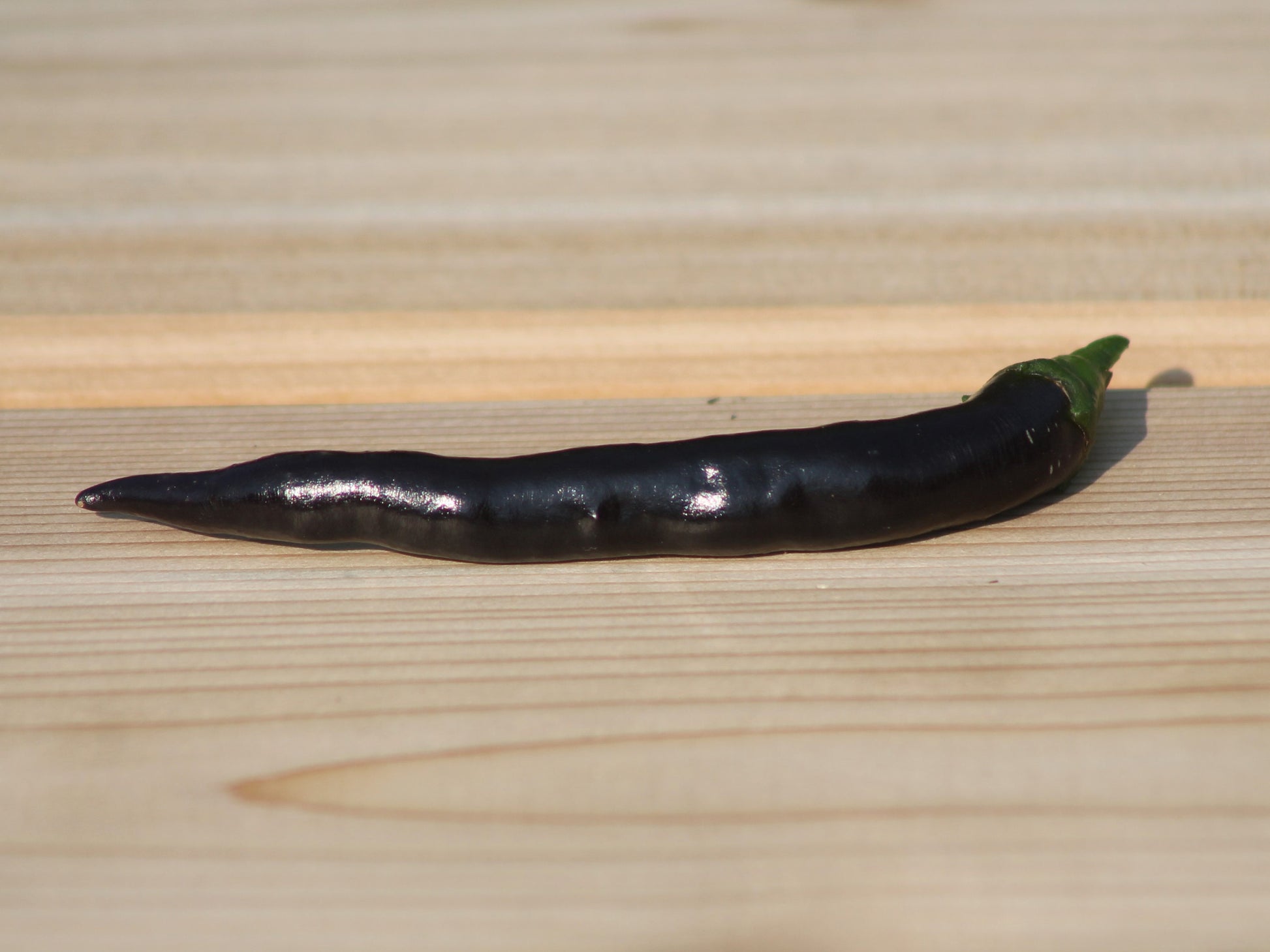 Black Thai Seeds Pepper , Organic