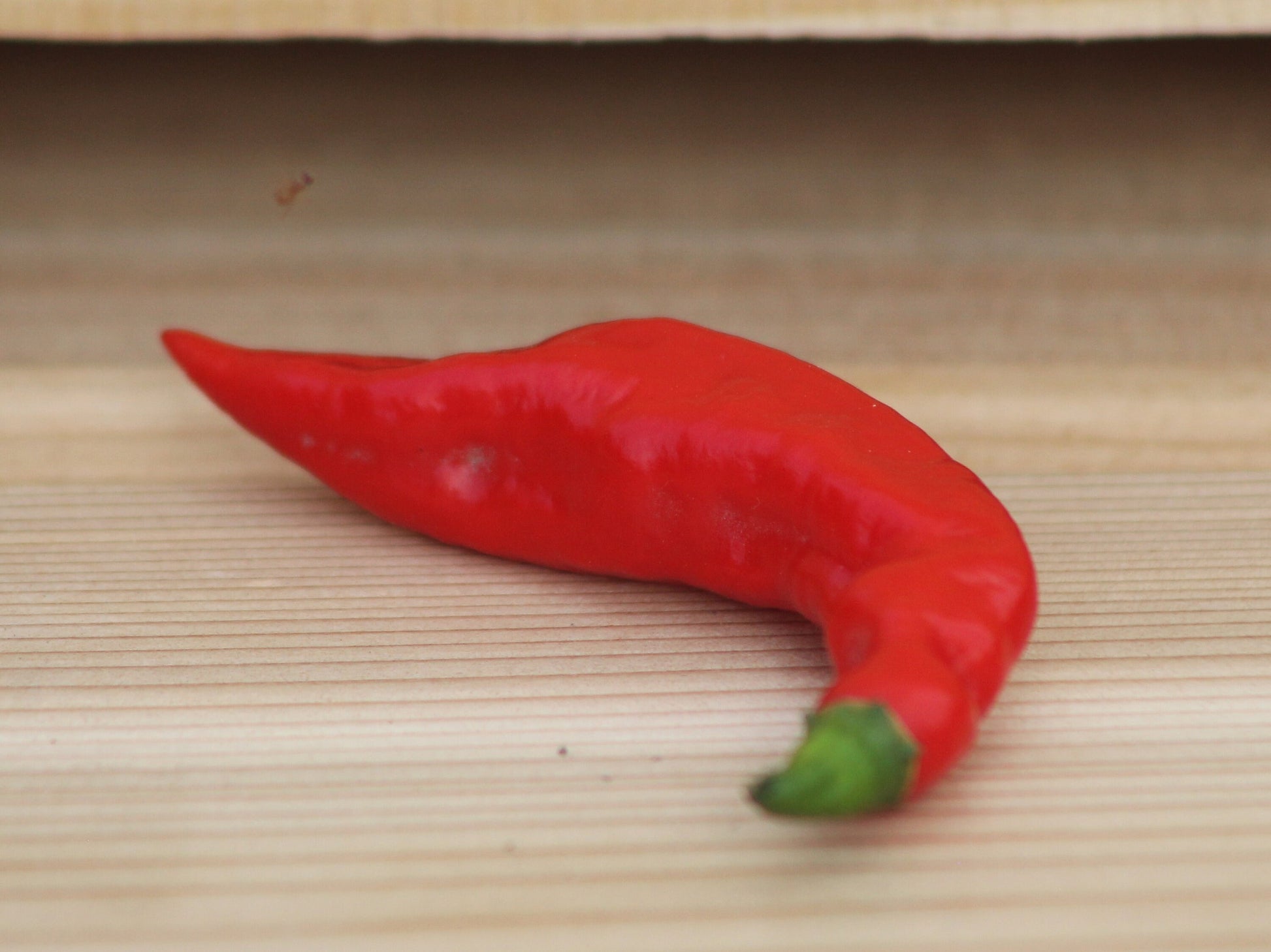 Thai Lightning Pepper Seeds , Organic