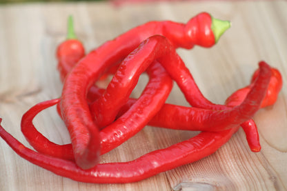 Long Corbaci Seeds Pepper