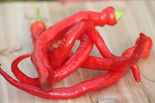 Long Corbaci Seeds Pepper