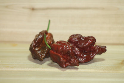 Chocolate Scorpion Seeds Pepper , Organic , SuperHot