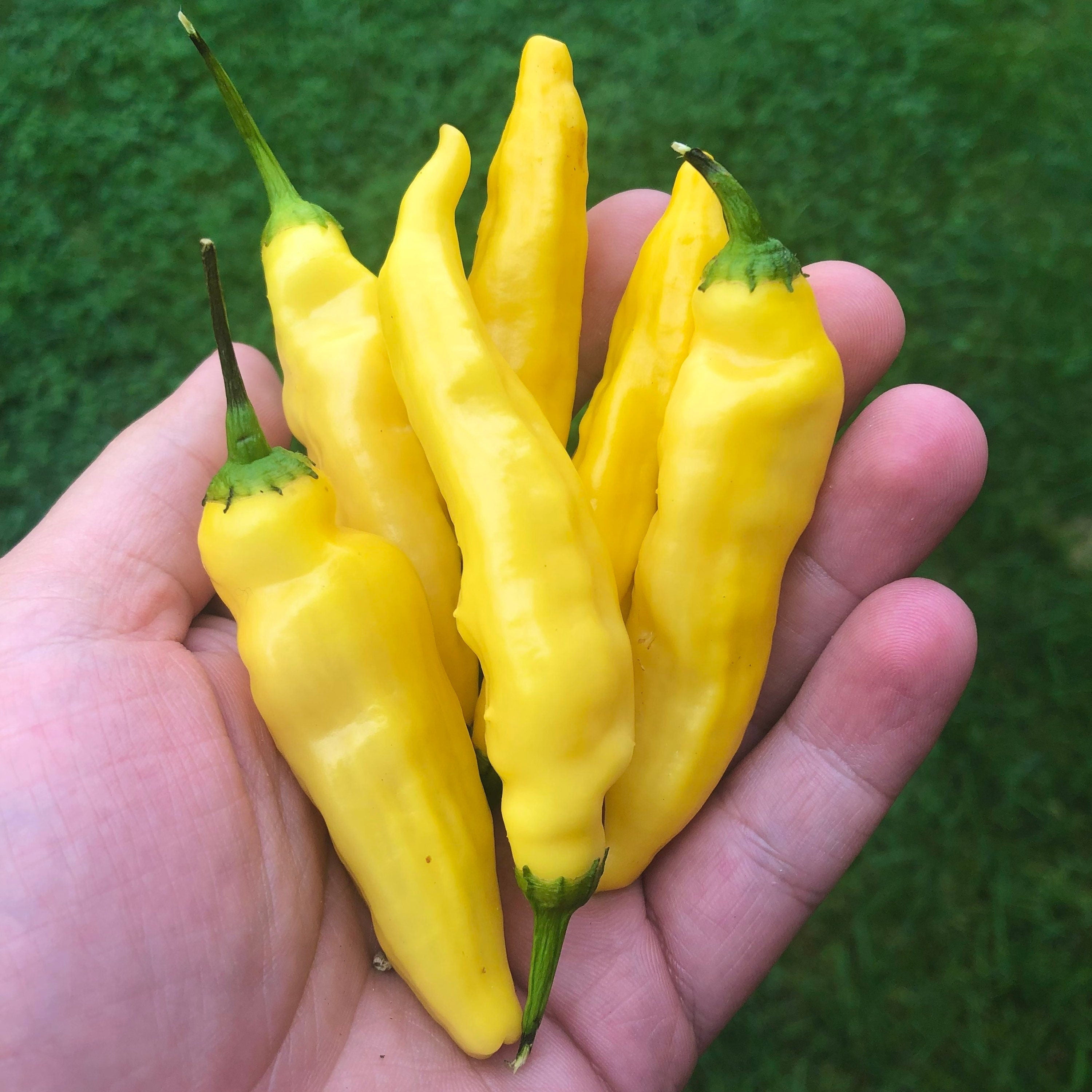 Aji Pineapple Pepper