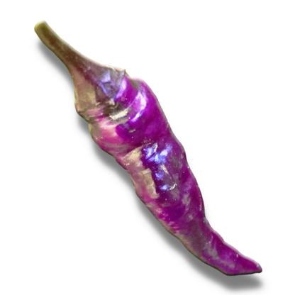 Semillas de Pimiento Morado Buena Mulata