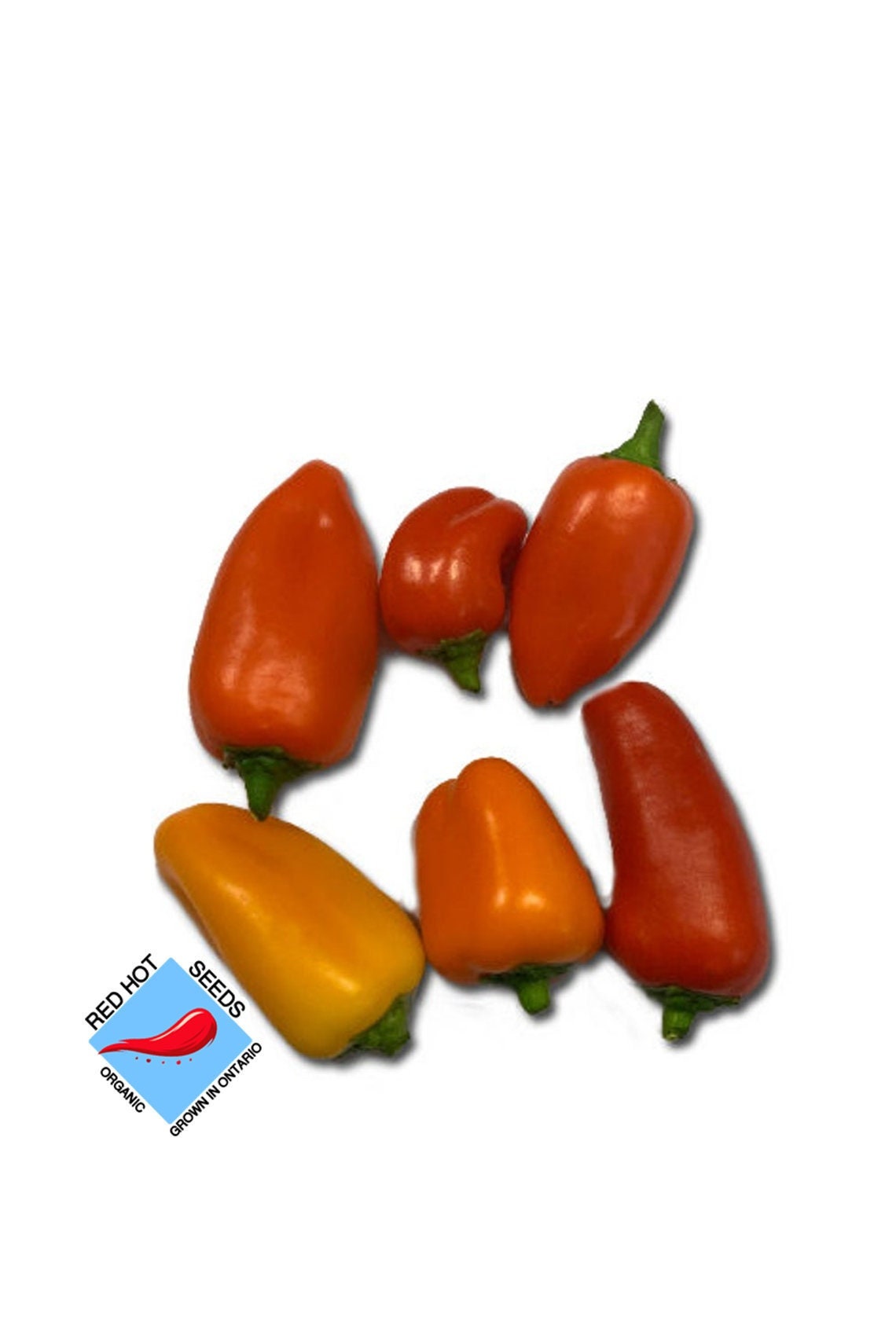 Organic Mini Sweet Pepper Seeds for Vibrant Home Gardening