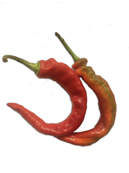 Long Hot Portuguese Pepper Seeds