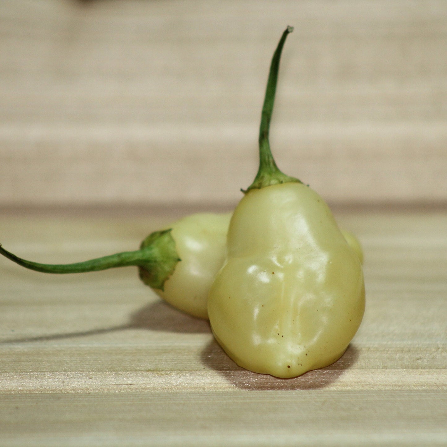 Cream Aji Fantasy Pepper Seeds