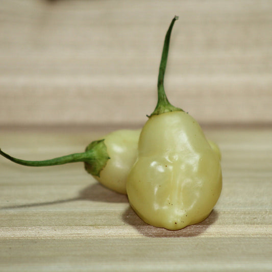 Cream Aji Fantasy Pepper Seeds