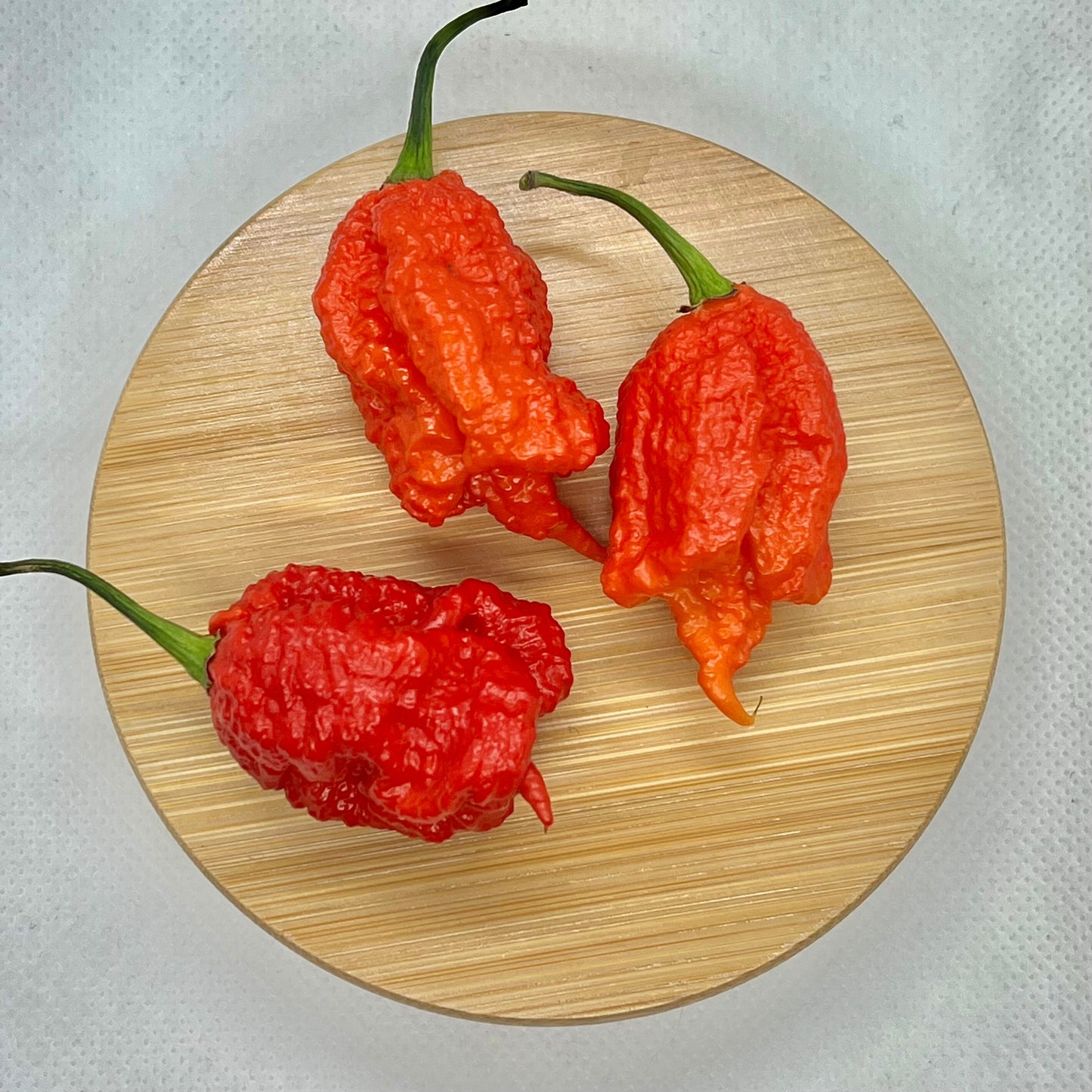 Carolina Reaper Pepper Seeds