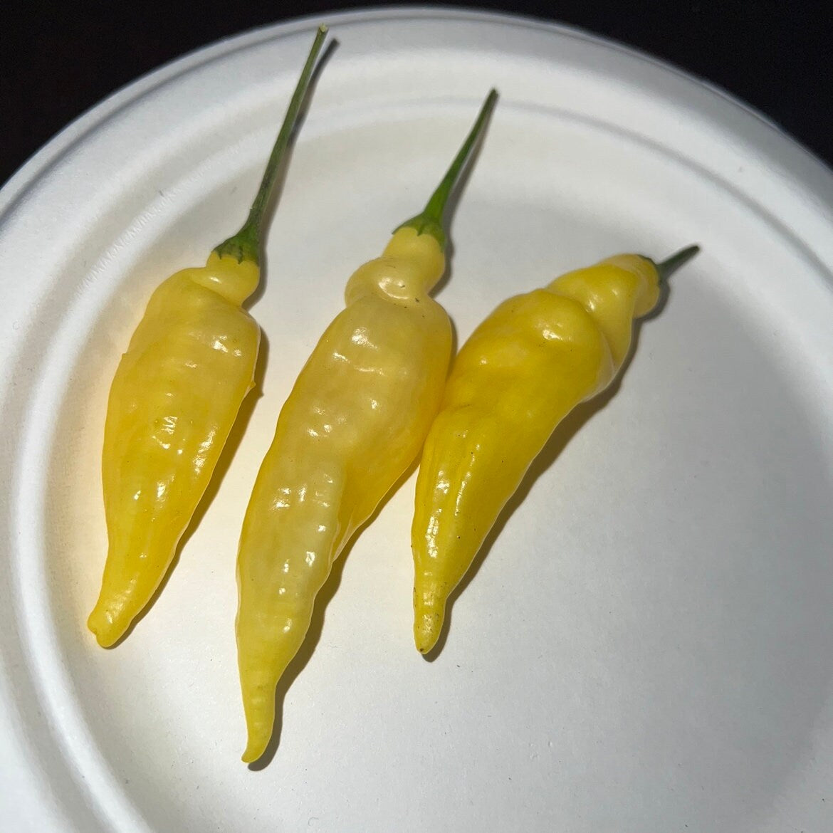 Award Winning Aji pineapple pepper seeds , organic