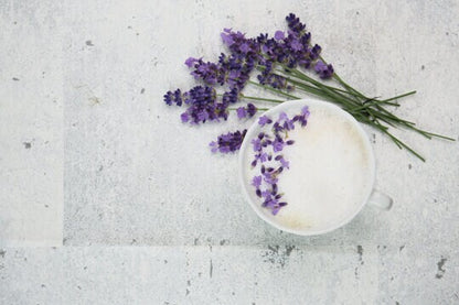 English Lavender Seed Mix, Organic