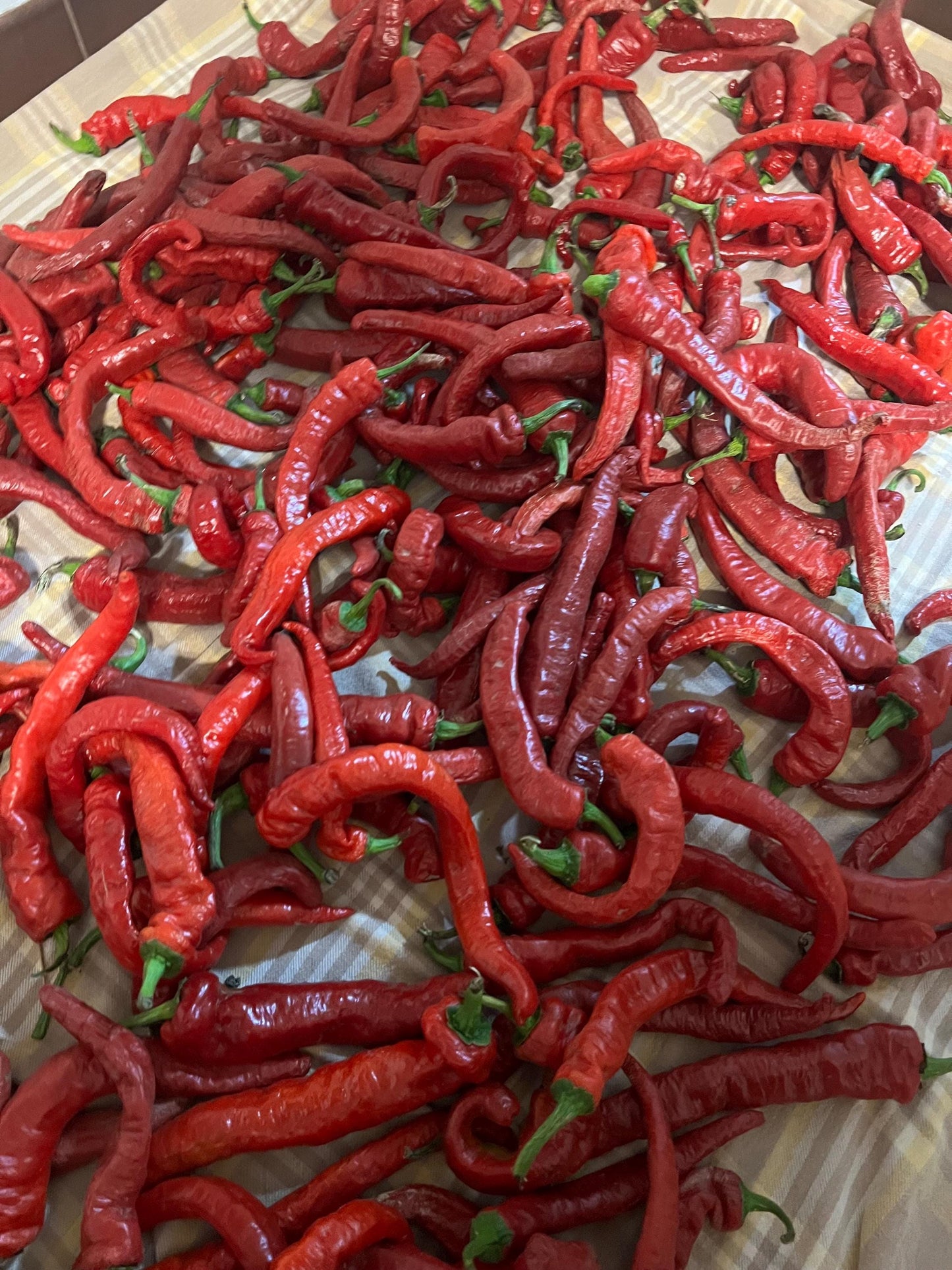 Long Sweet Italian Pepper Seeds , Organic