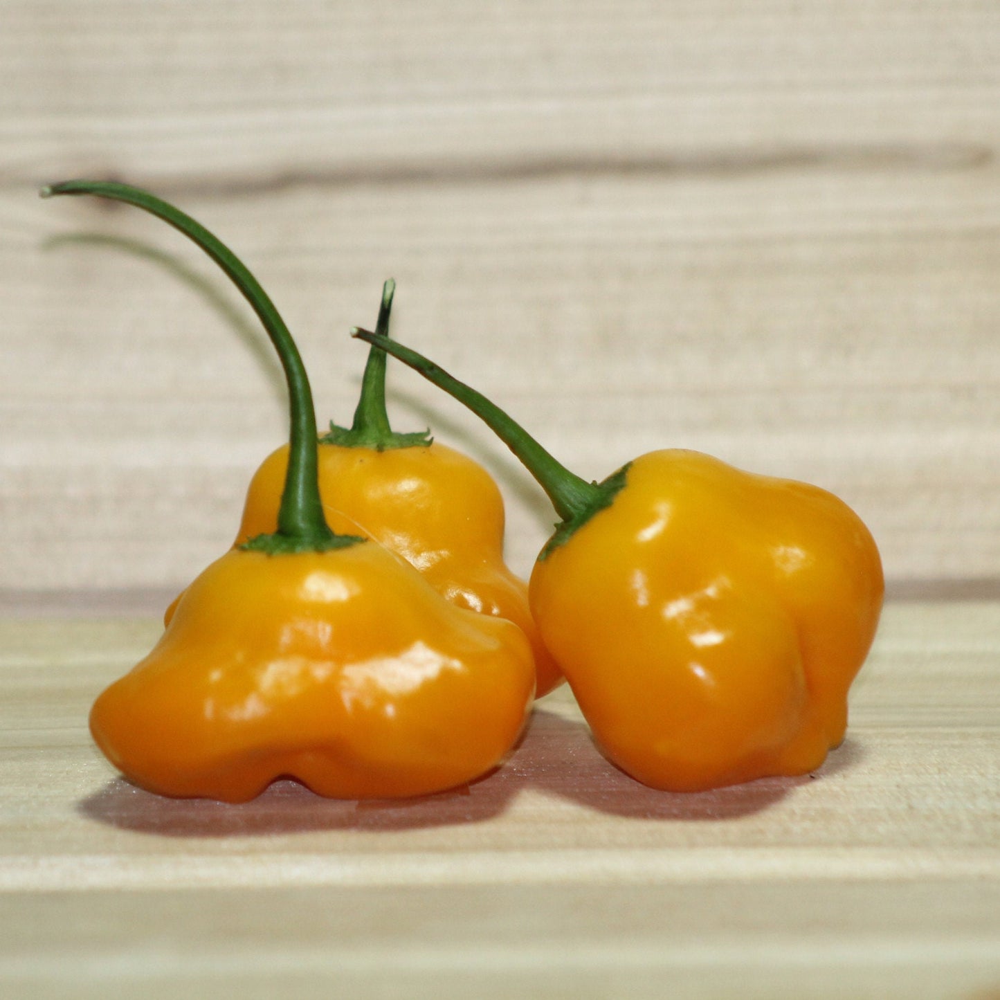 Orange Mad Hatter Pepper Seeds