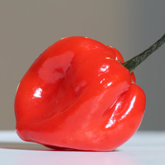 Spicy Red Habanero Pepper Seeds