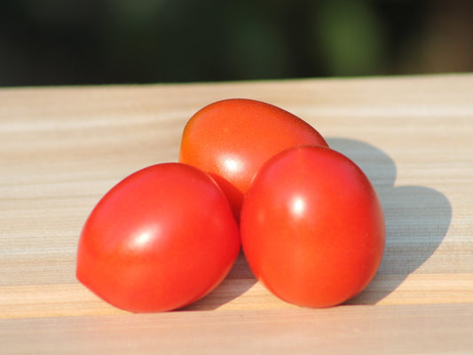 Cherry Principe Borghese Tomato Seeds , Organic