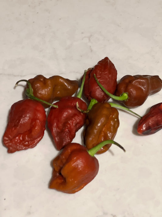 Chocolate Ghost Pepper Seeds